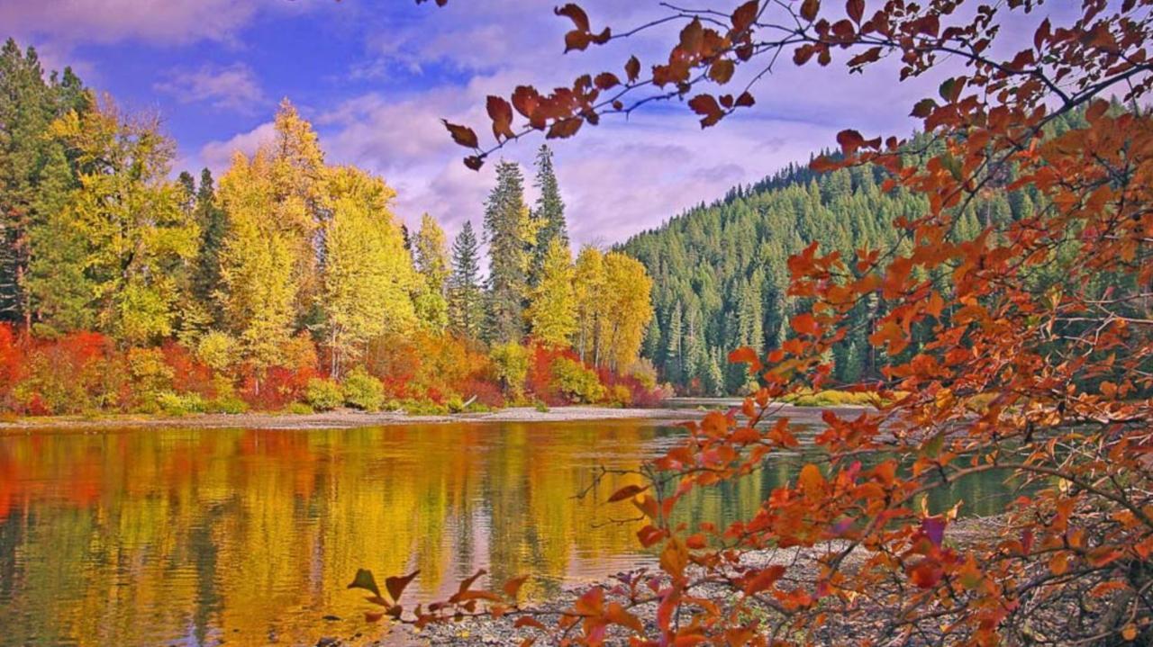 Luxe Leavenworth Cottage Экстерьер фото
